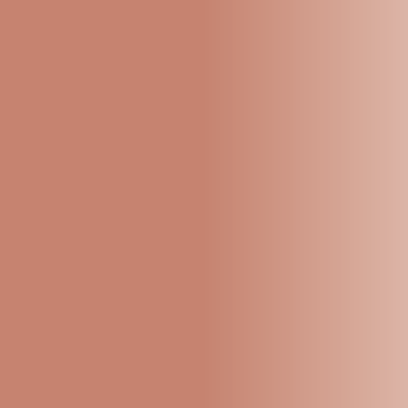Pigment do ust SWISS COLOR 704 Light Umbra - obrazek 2
